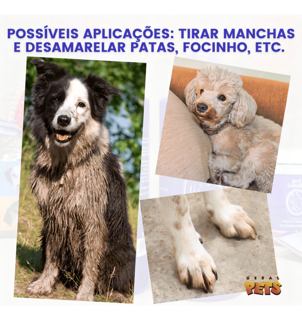 D NQ NP 2X 822044 MLA88624704474 072025 F