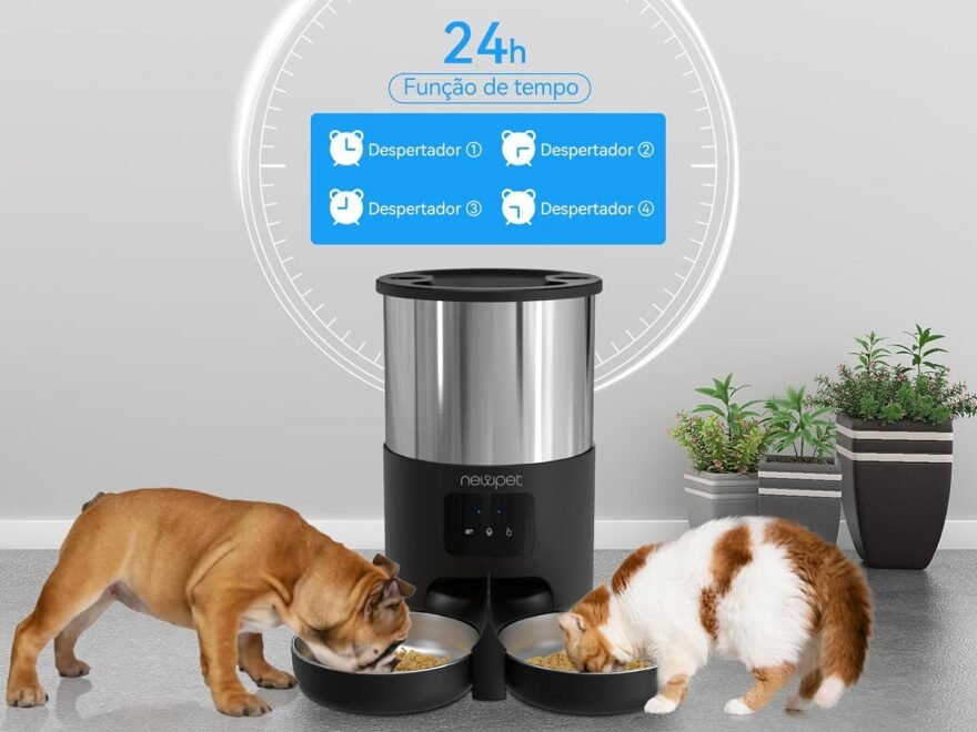 Default 2 1 e1767385940686