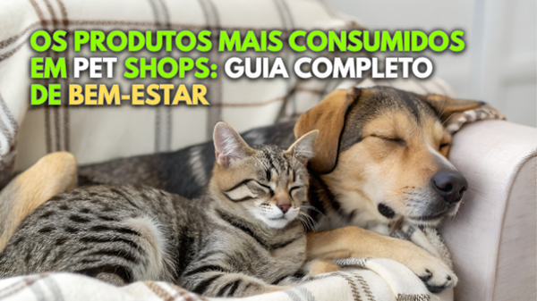 Padrao para postagem no site 1 3