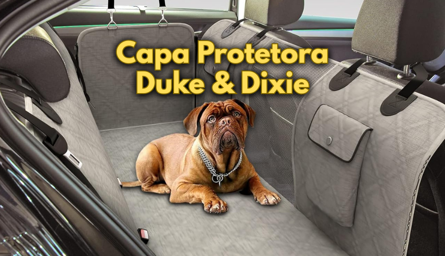 Padrao para postagem no site 15