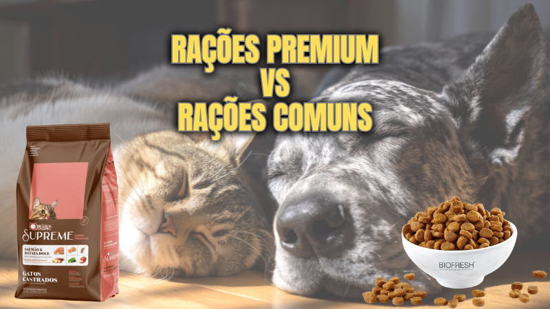 COUBE TUDO A BOLSA MAGICA PARA PAIS