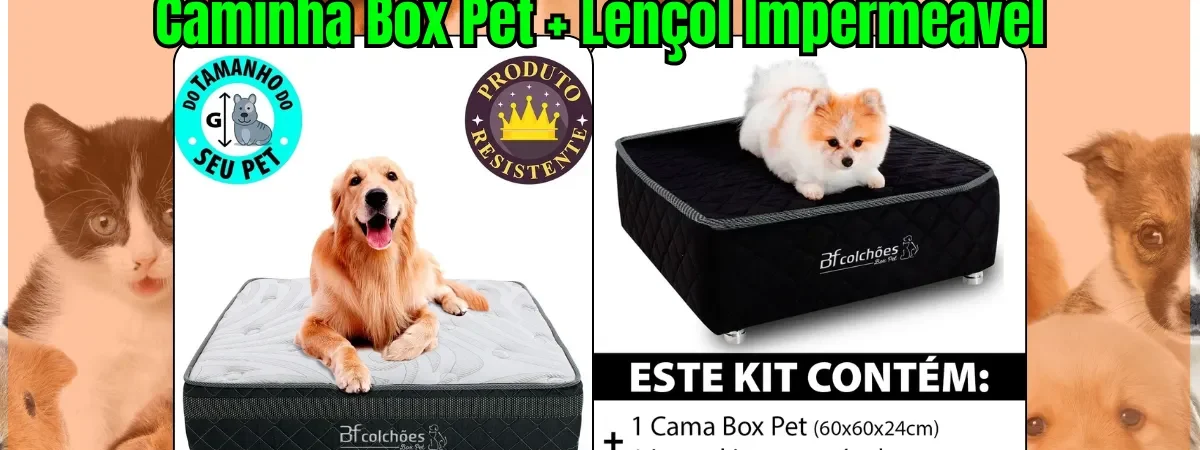Caminha Box Pet com Lencol Impermeavel Vale a Pena em 2026