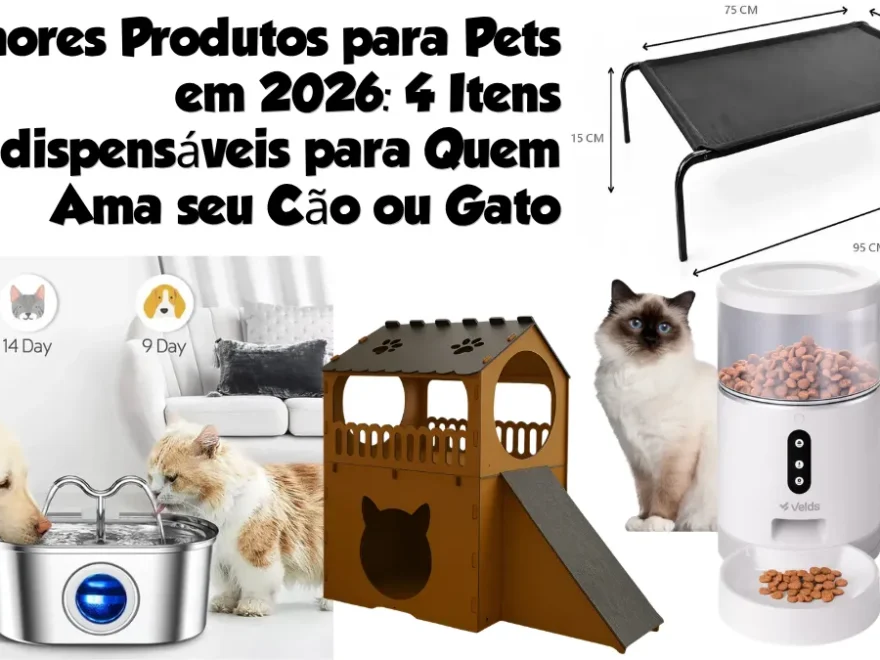 IDEAL PARA BLOGS 1